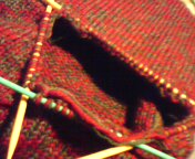 20091102233118.jpg
