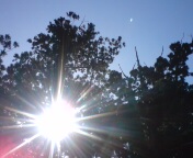 20100207113839.jpg