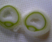 110716_114410.jpg