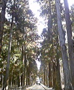 120118_131640_ed.jpg