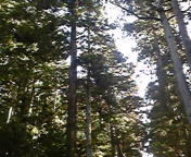 120118_131621.jpg