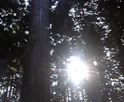 120118_131602.jpg