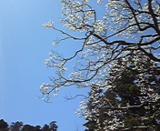 DVC00368.jpg