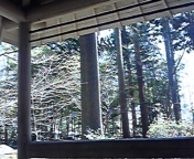 DVC00359.jpg