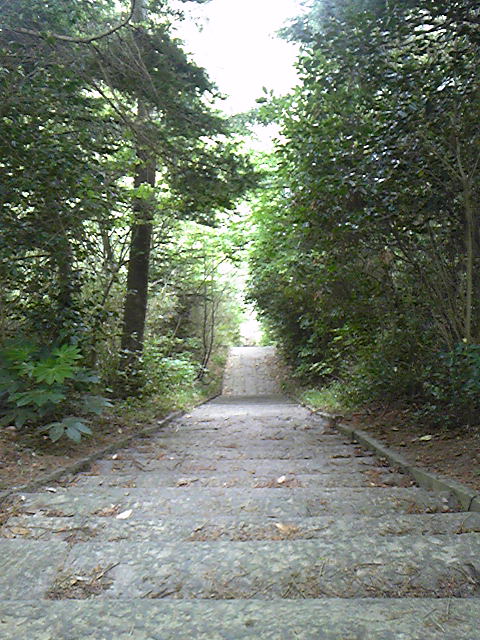 DVC00048.jpg