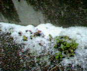 雪