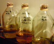 20080309212045.jpg