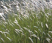 110607_162113.jpg