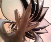111226_145615.jpg