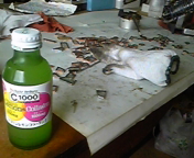 DVC00074.jpg