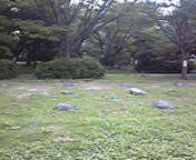 110808_084229.jpg