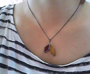 111016_132605.jpg