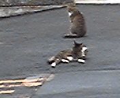 111016_092646.jpg