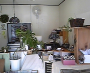 120203_123436.jpg