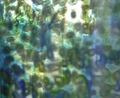 DVC00084.jpg